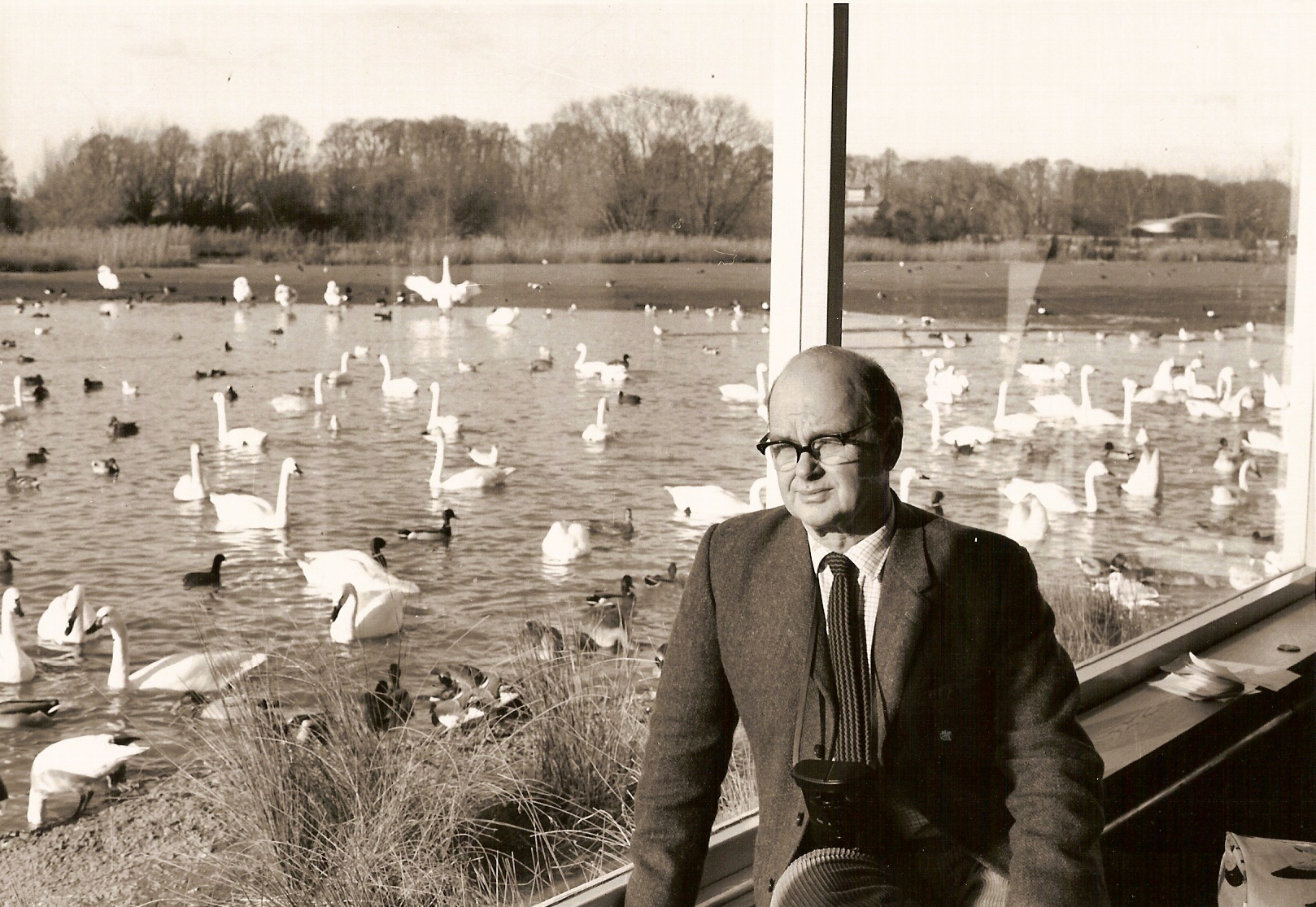 View: Wild History Walk