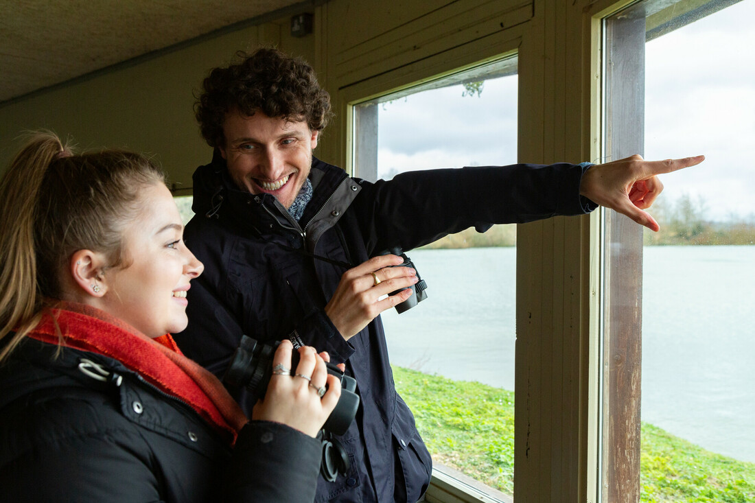 View: Birding for Beginners