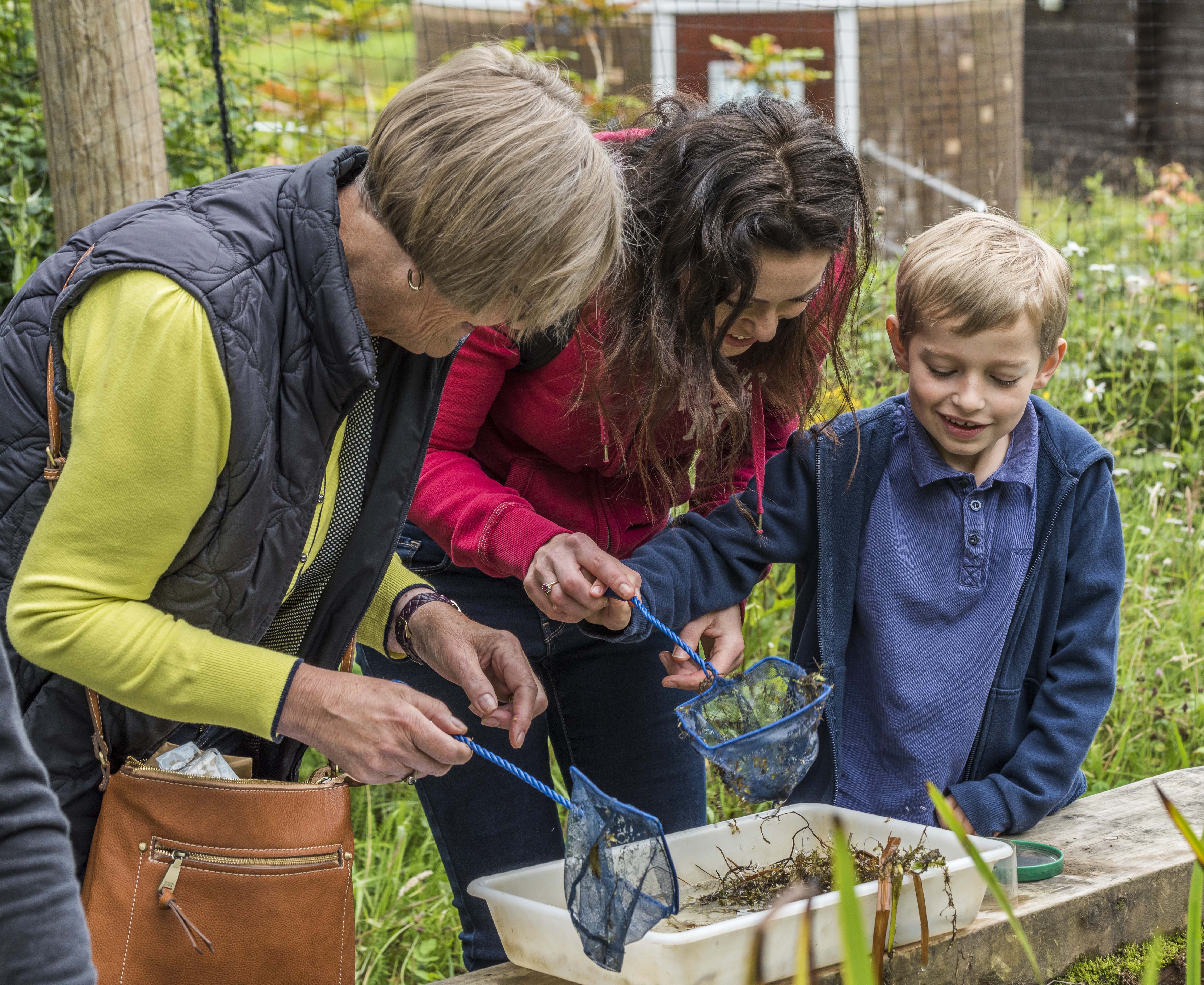 View: Pond dipping
