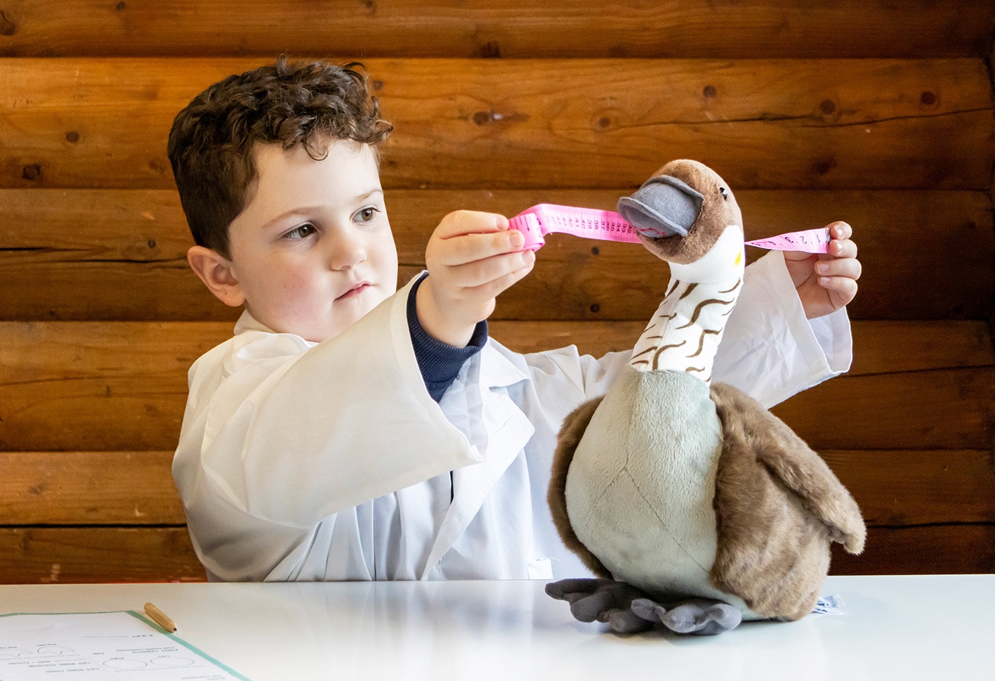 View: Gozzle Vet Check