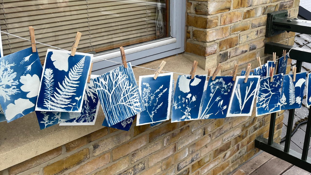 View: Family Cyanotype Printmaking Workshop