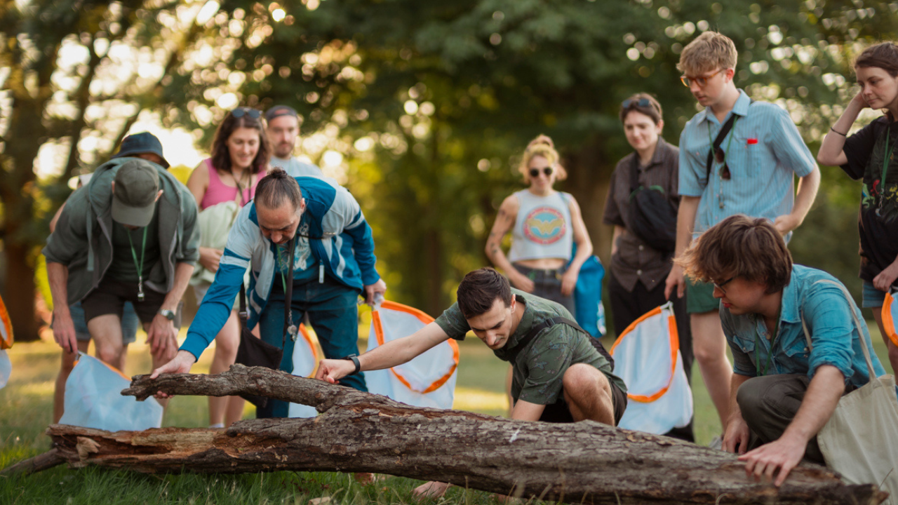 View: Summer Bug Walk