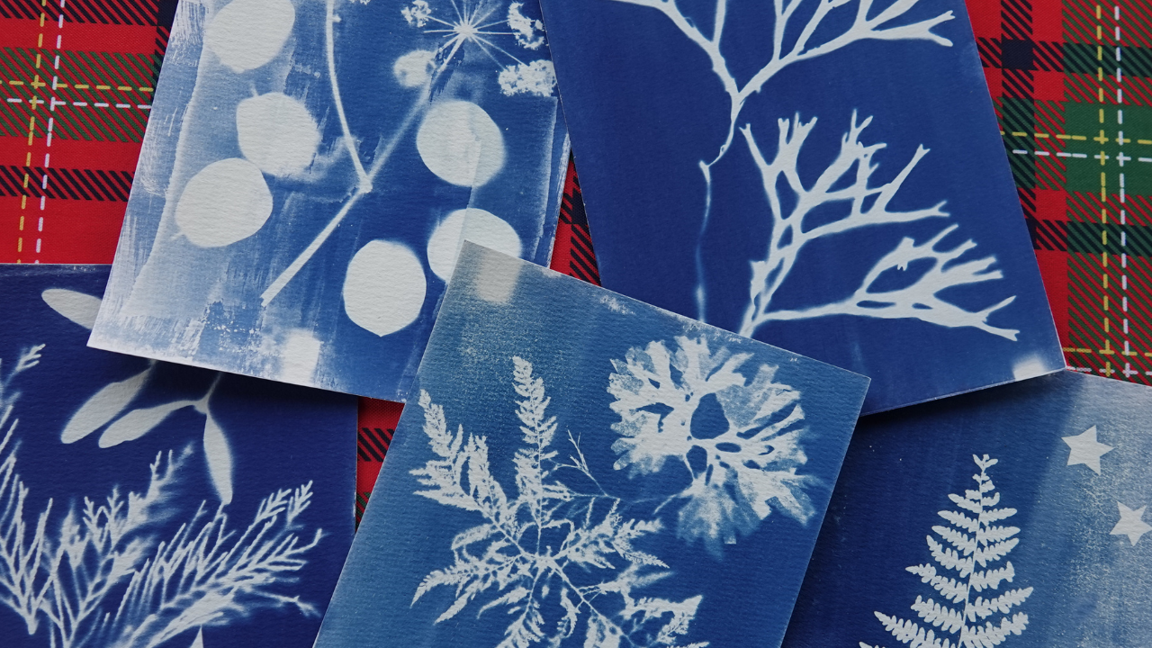 View: Festive Cyanotype Printmaking Workshop