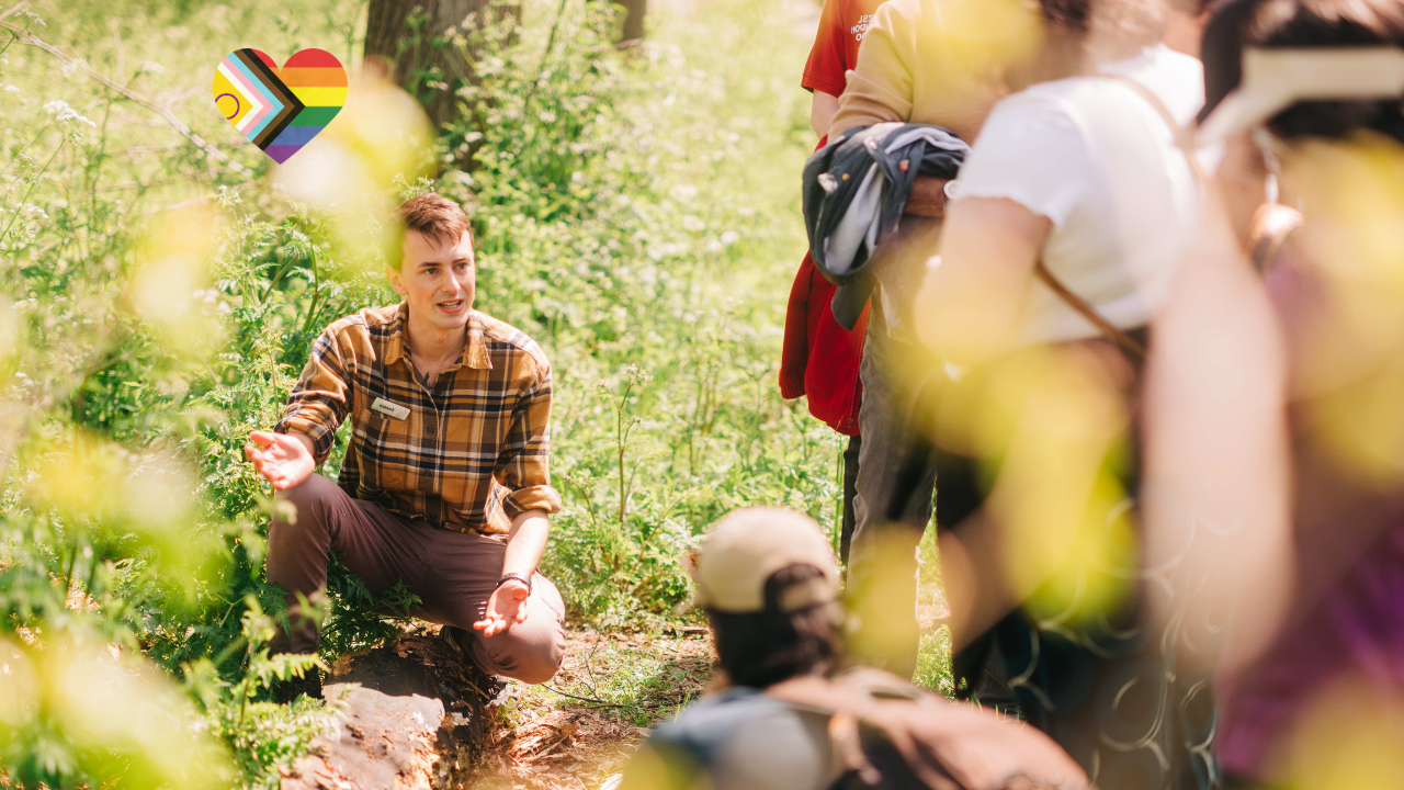 View: Queer Ecology Walk