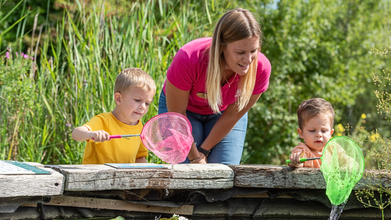 View: Quiet and Calm Pond Dipping