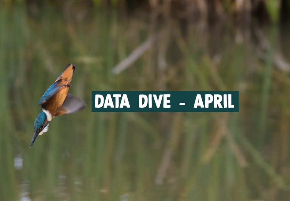 Data Dive - April