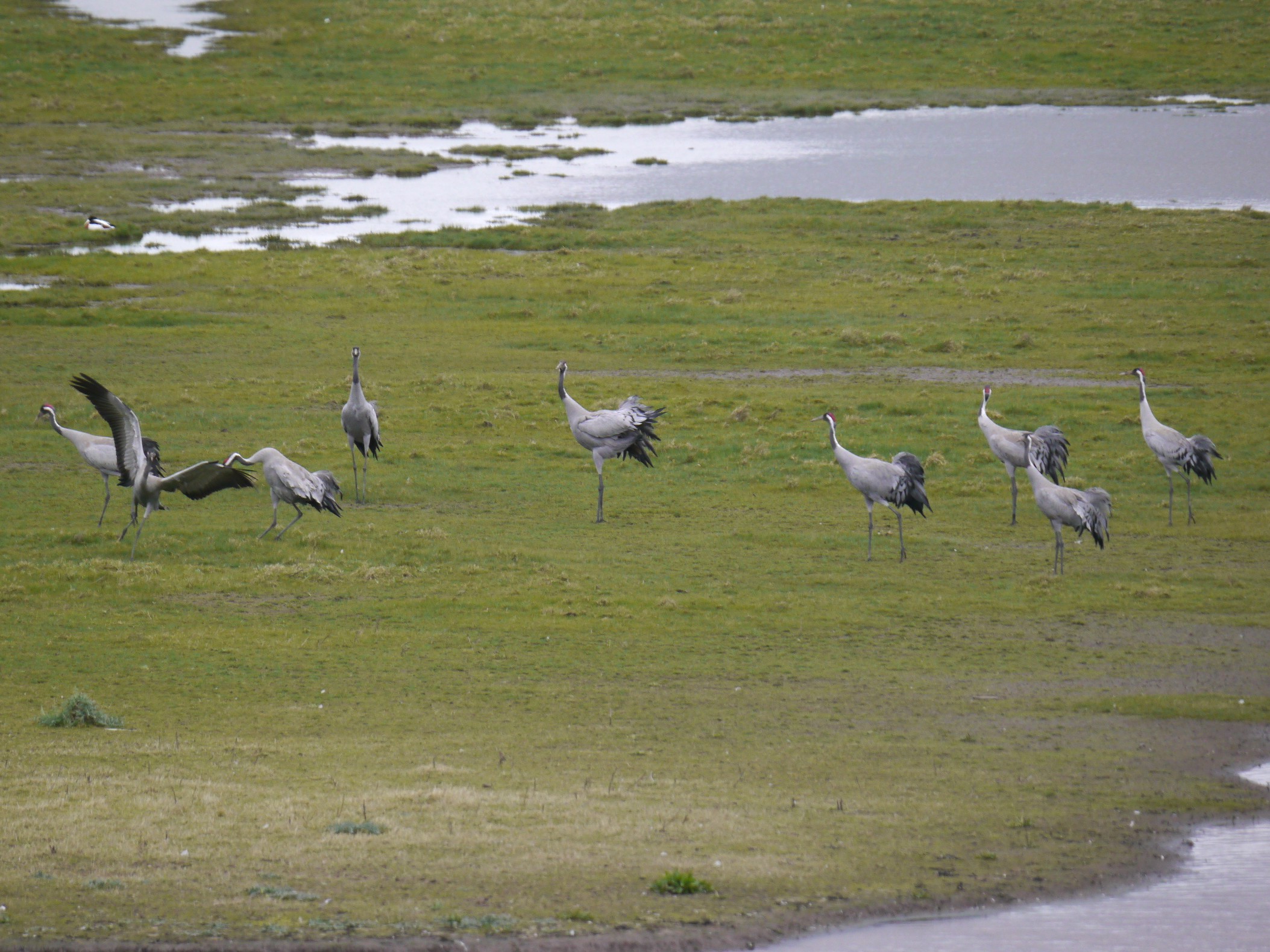 Sighting and news to week ending 15 March 2026