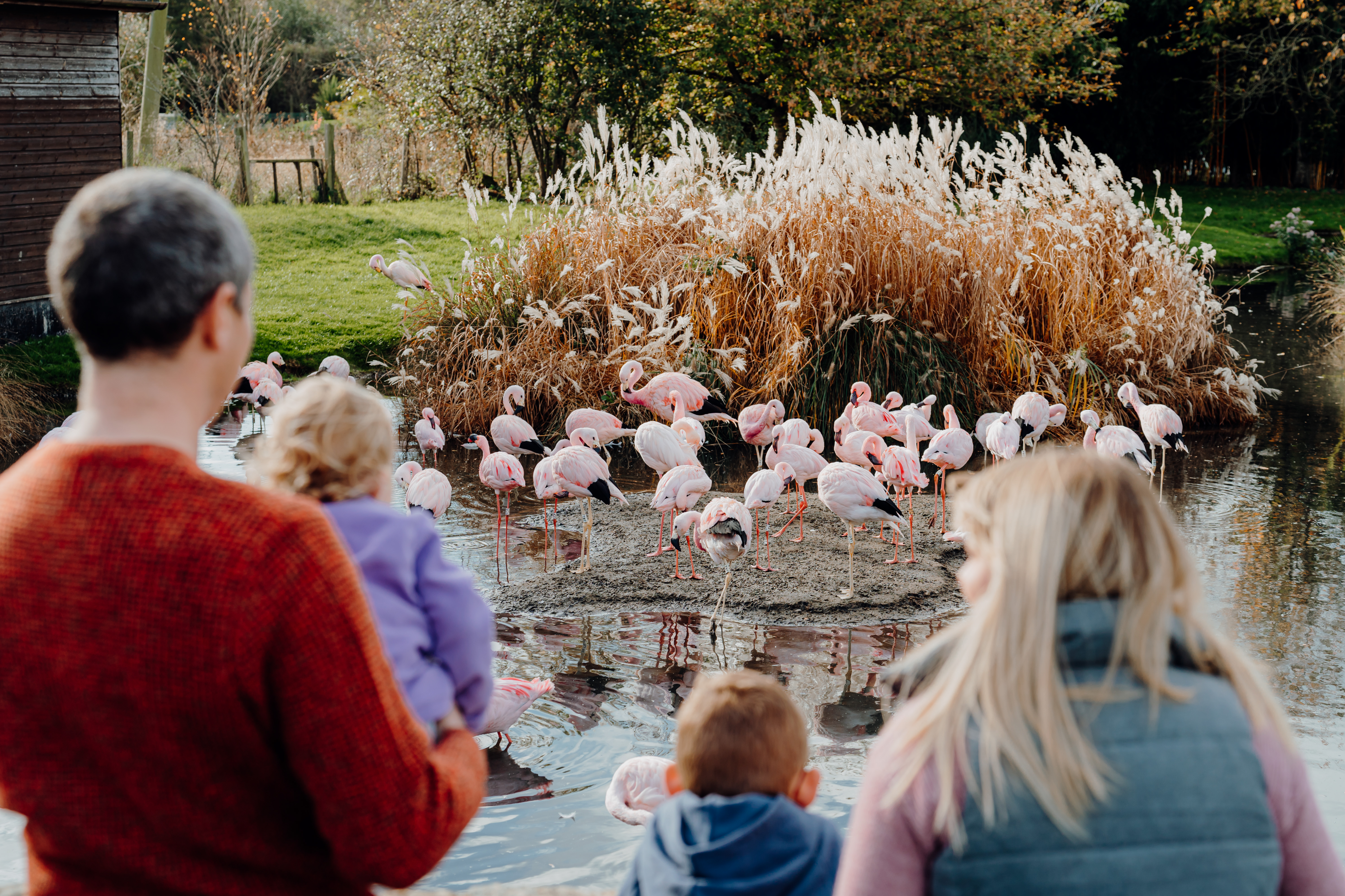 Award season 2026 is here!