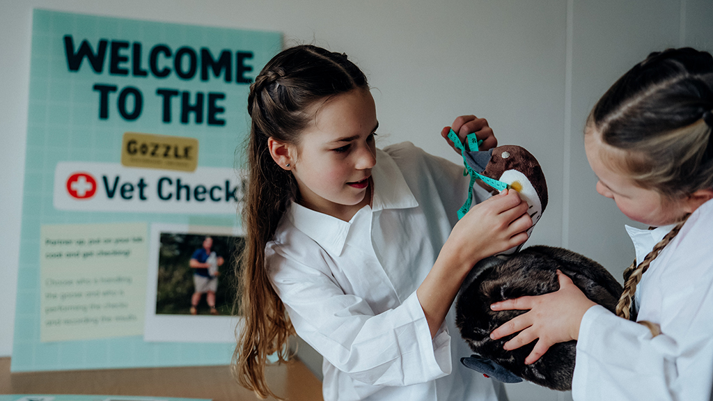 View: Gozzle Vet Check