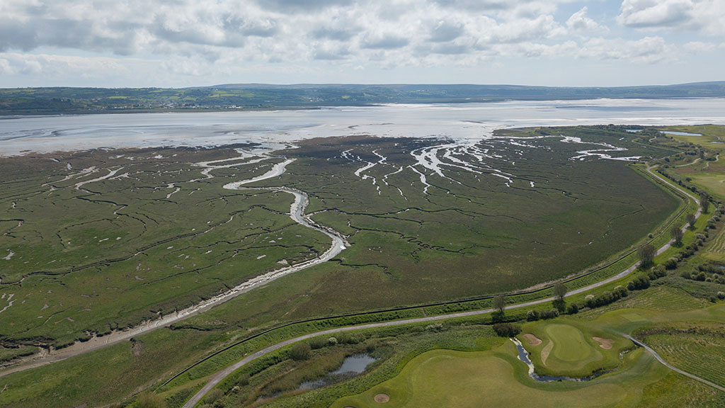 WWT to create bigger, more connected wetlands in Wales thanks to funding boost