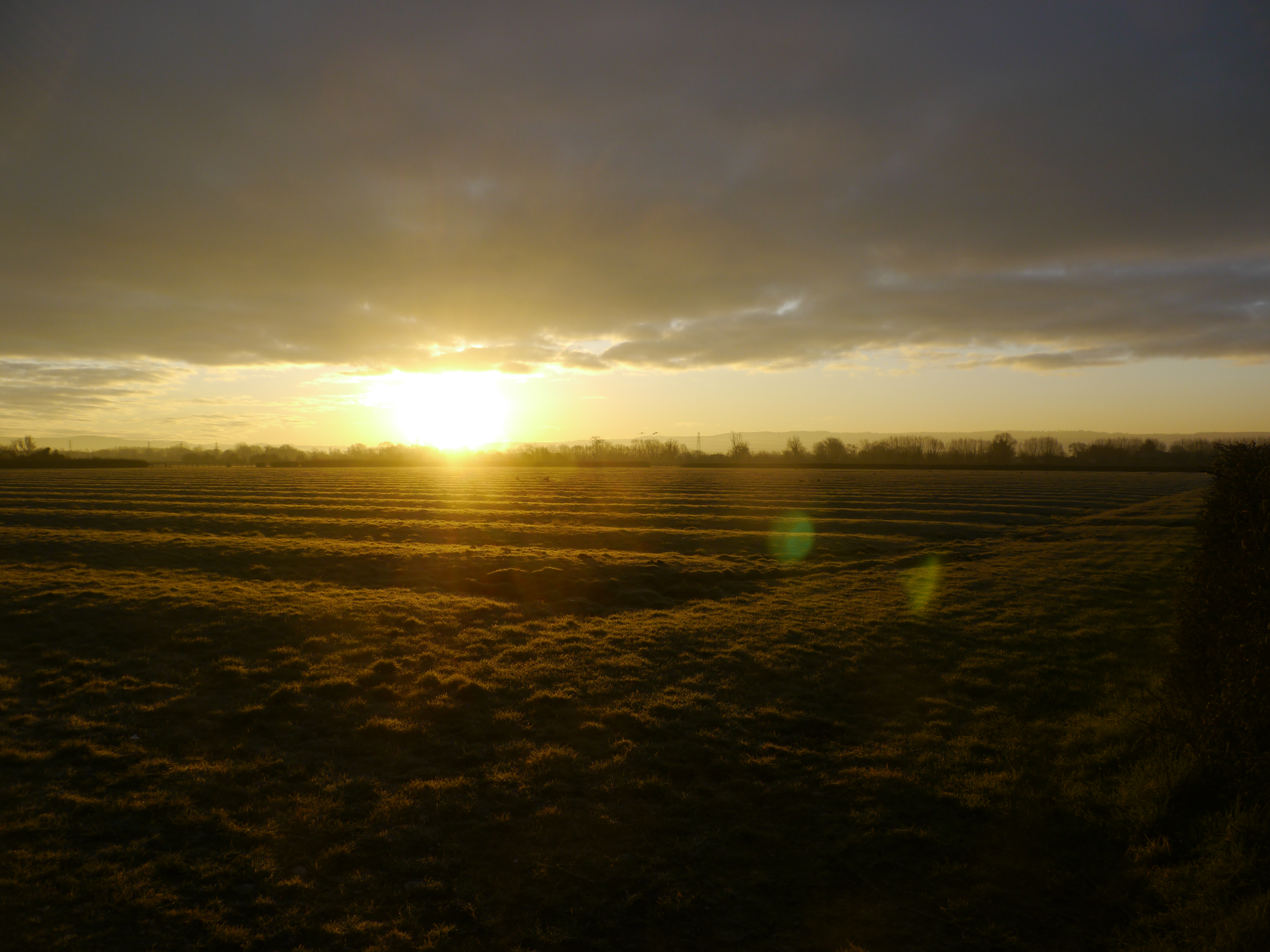 Sightings and news to week ending 12 April 2026