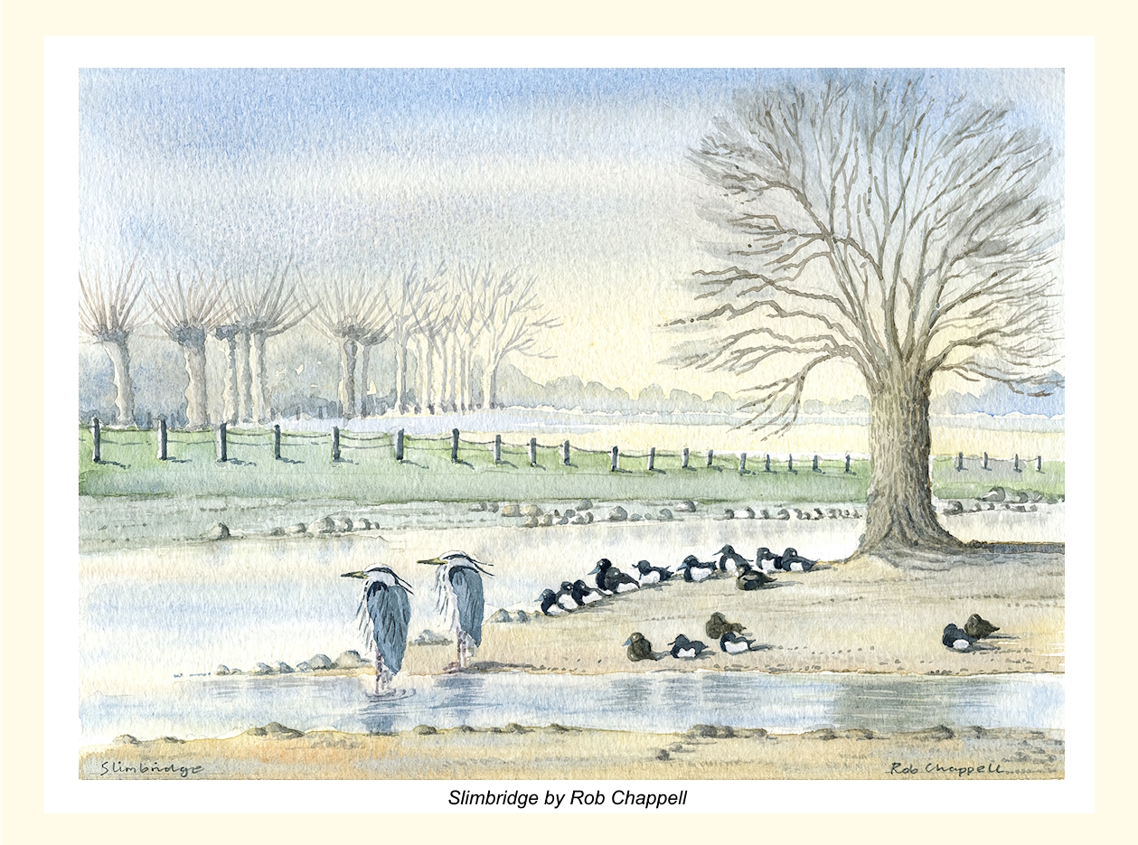 View: Gallery Exhibition: Rob Chappell