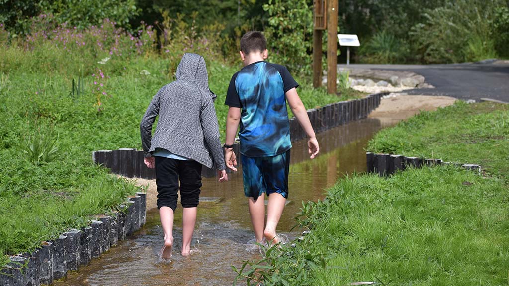 Young visitors walking barefoot in the sunken walkway of the Wet Meadow at WWT Martin Mere
