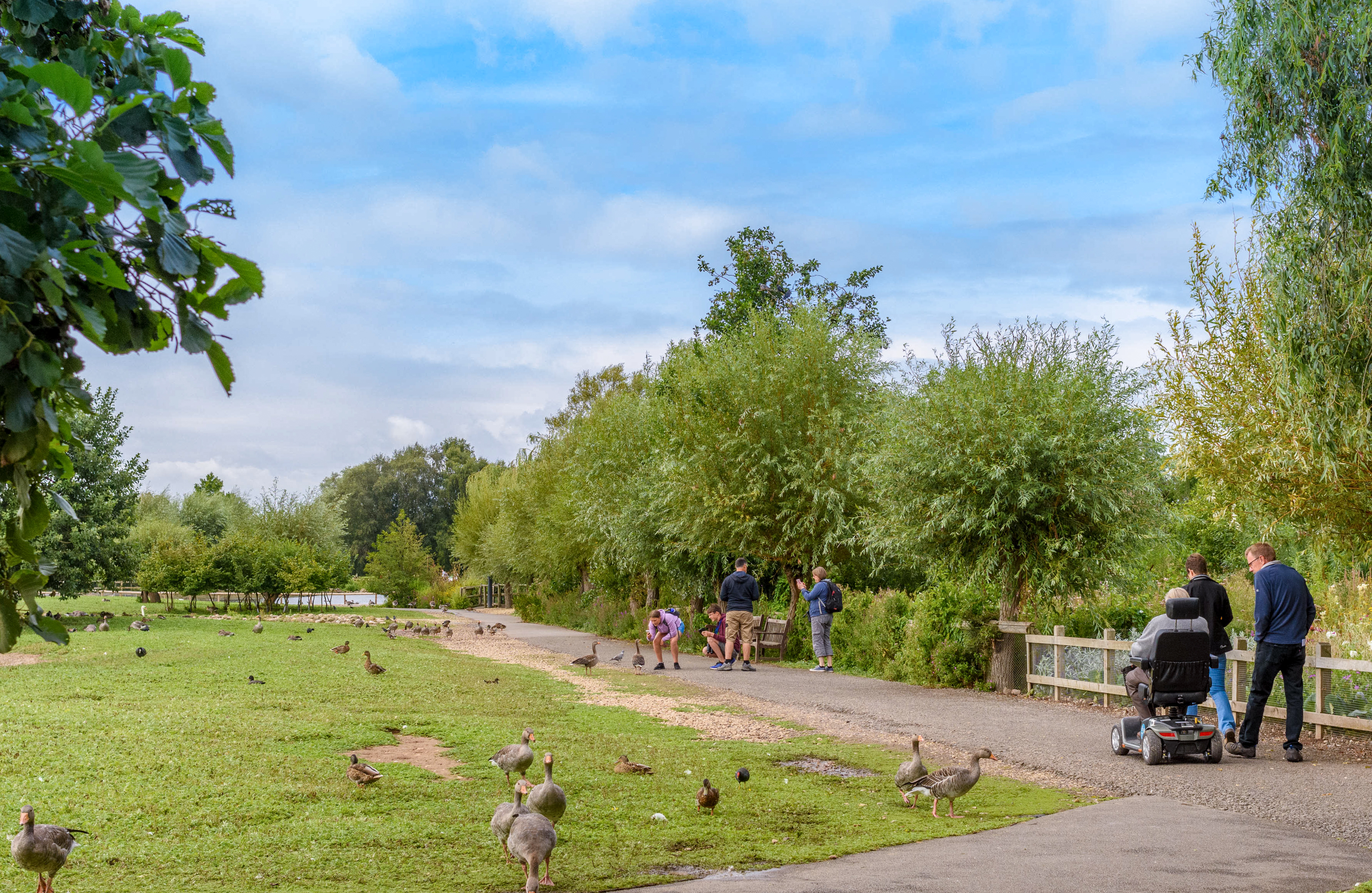 Wild History Walk