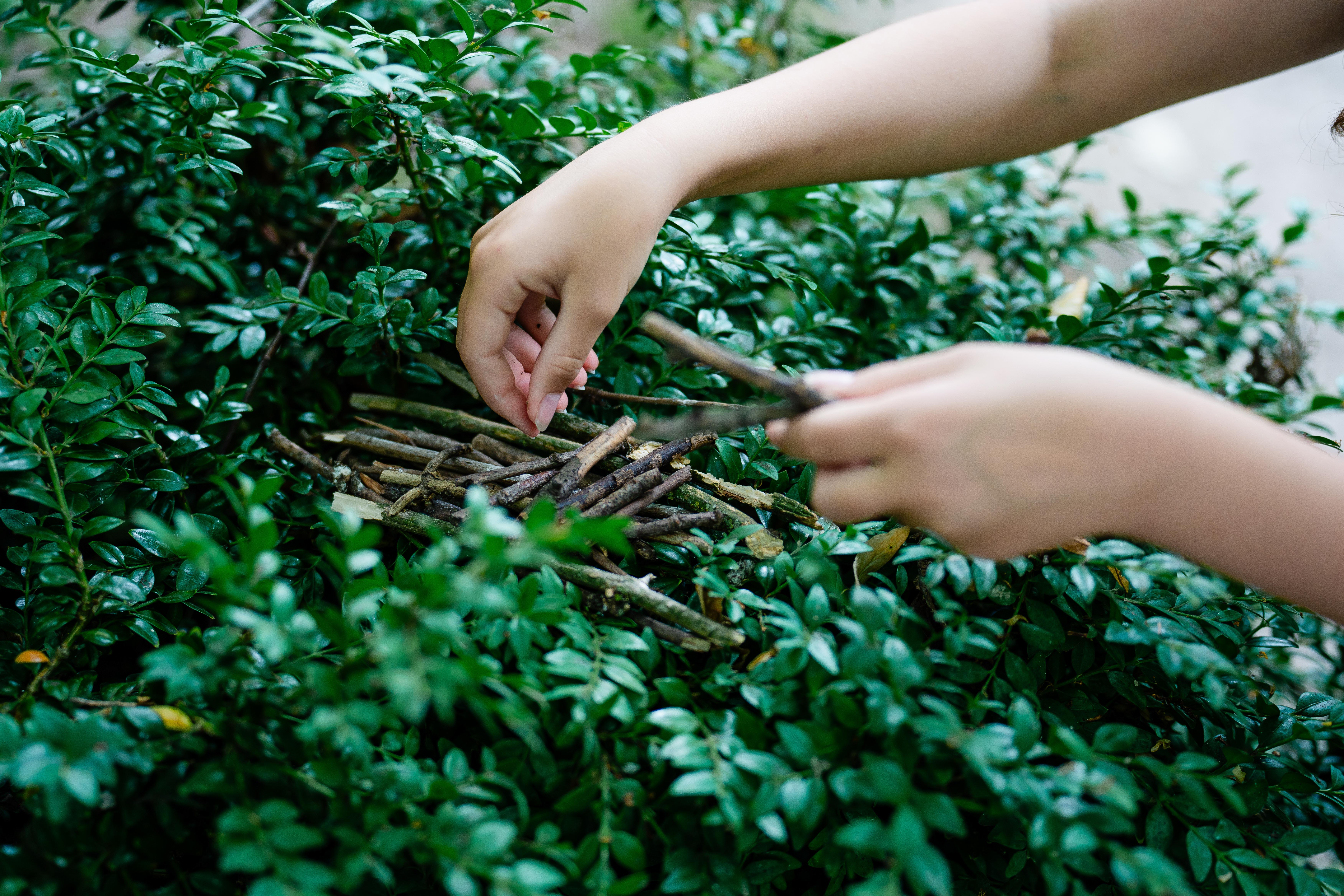 View: Wetland Explorer Day: Habitat & Wildlife
