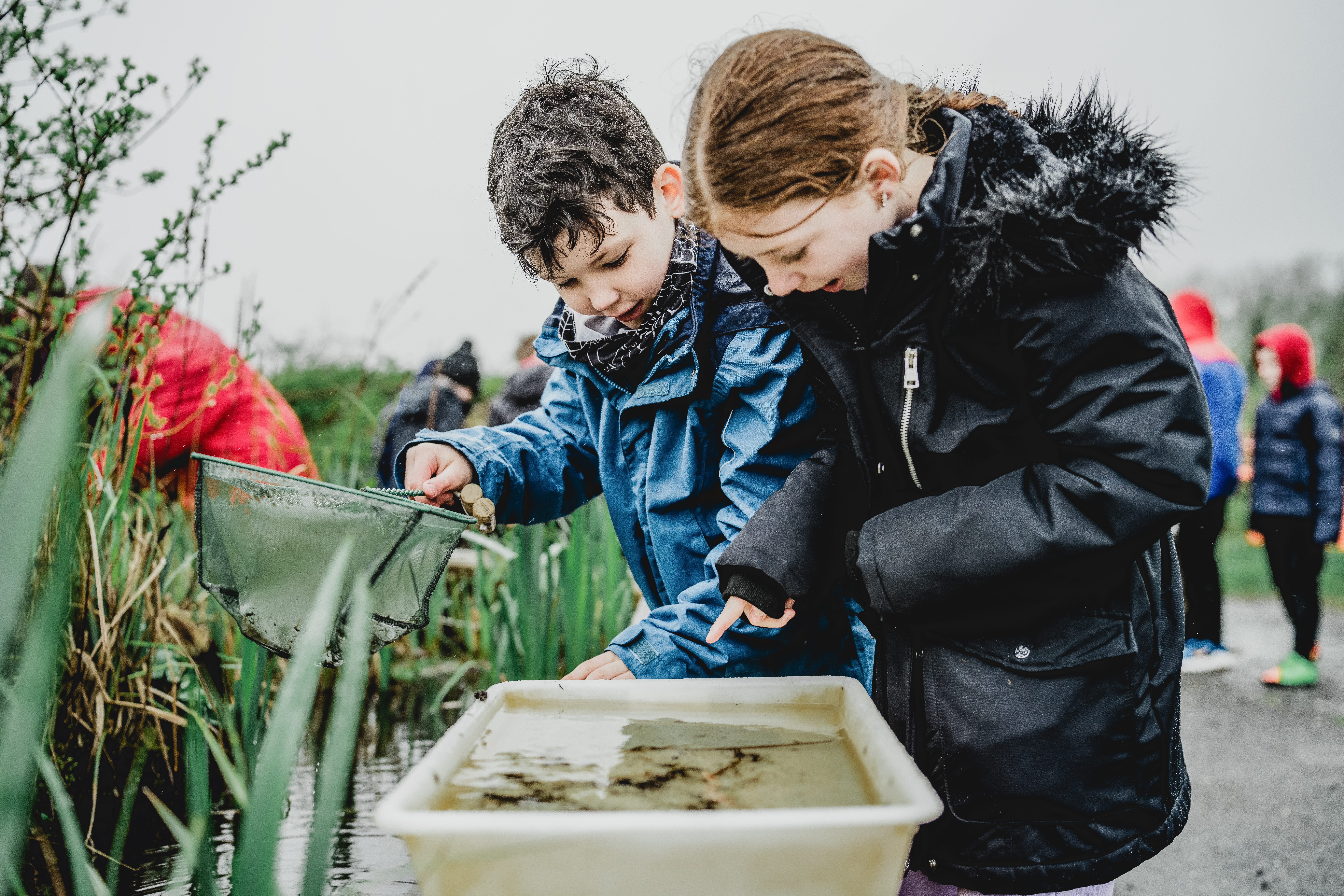 Wetland Explorer Day: Habitat & Wildlife