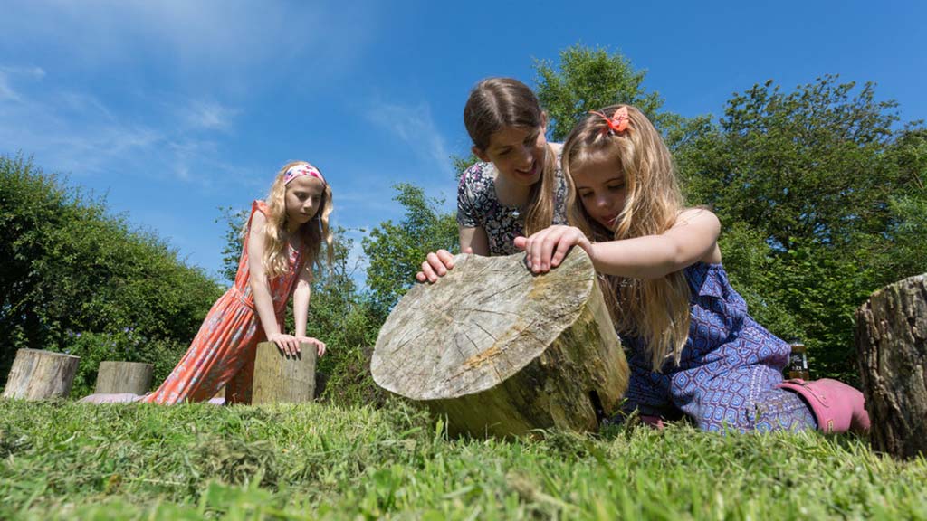 Visitors lift logs in search of insects in a bug hunting area