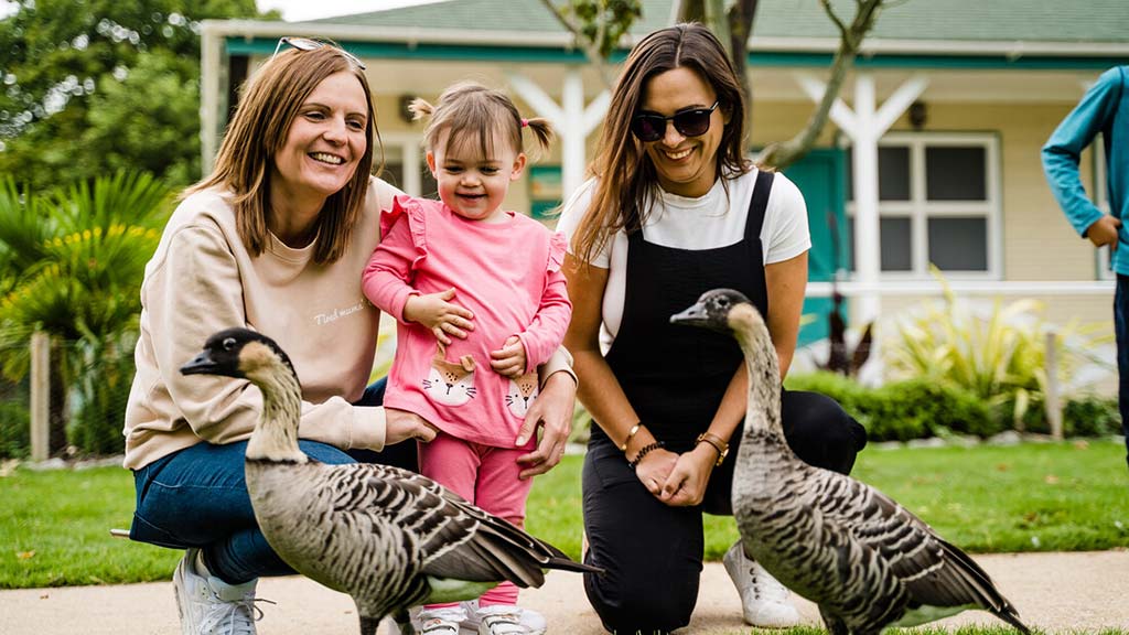 Mission possible exhibit