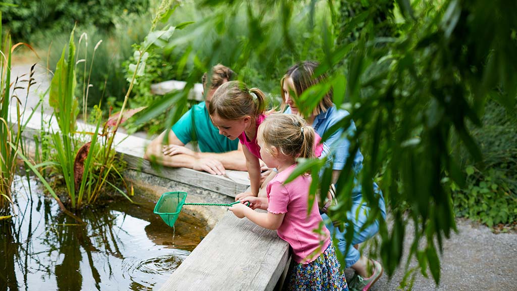 A family enjoying a pond dipping session
