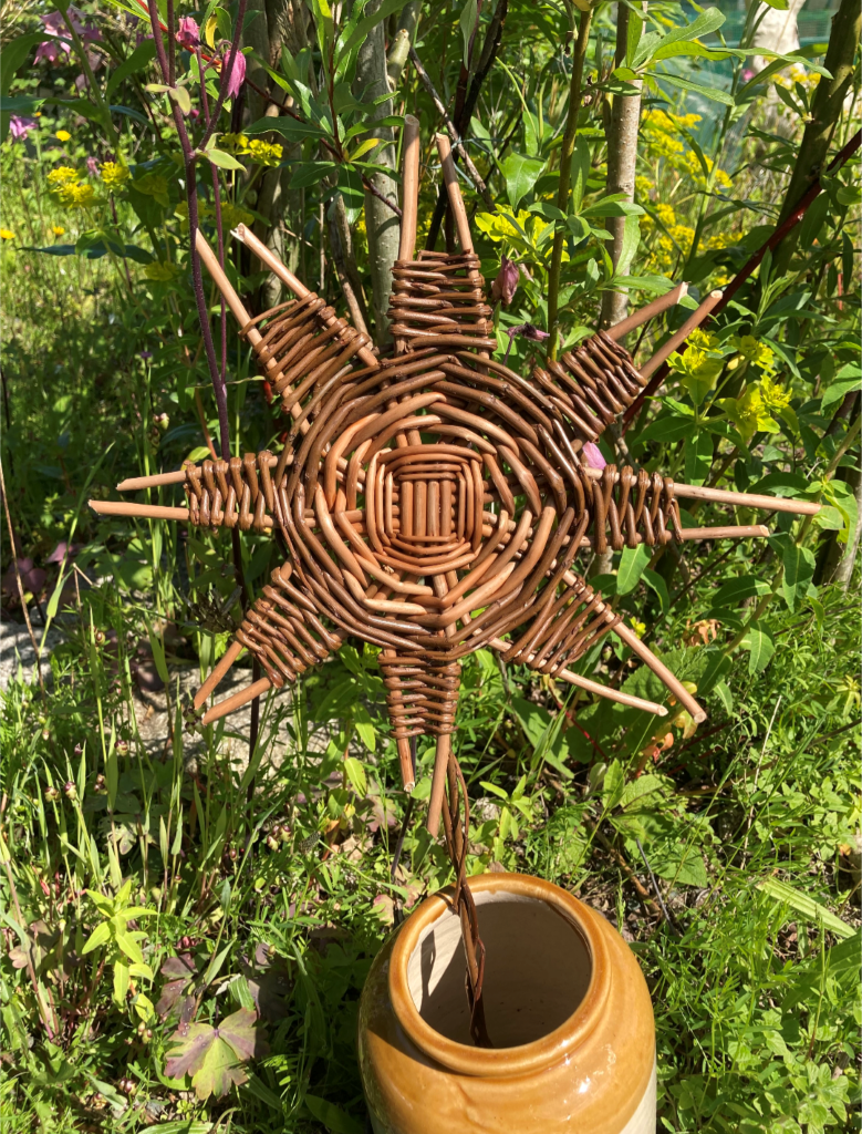 Willow weaving plants workshop