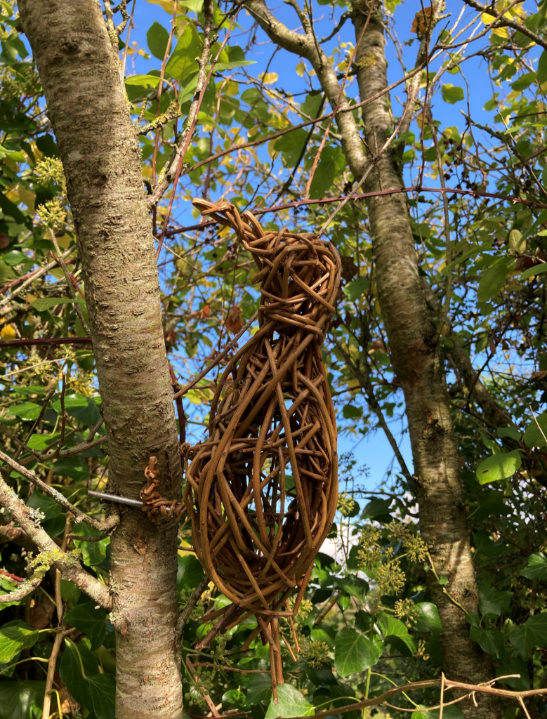 Willow weaving bird workshop