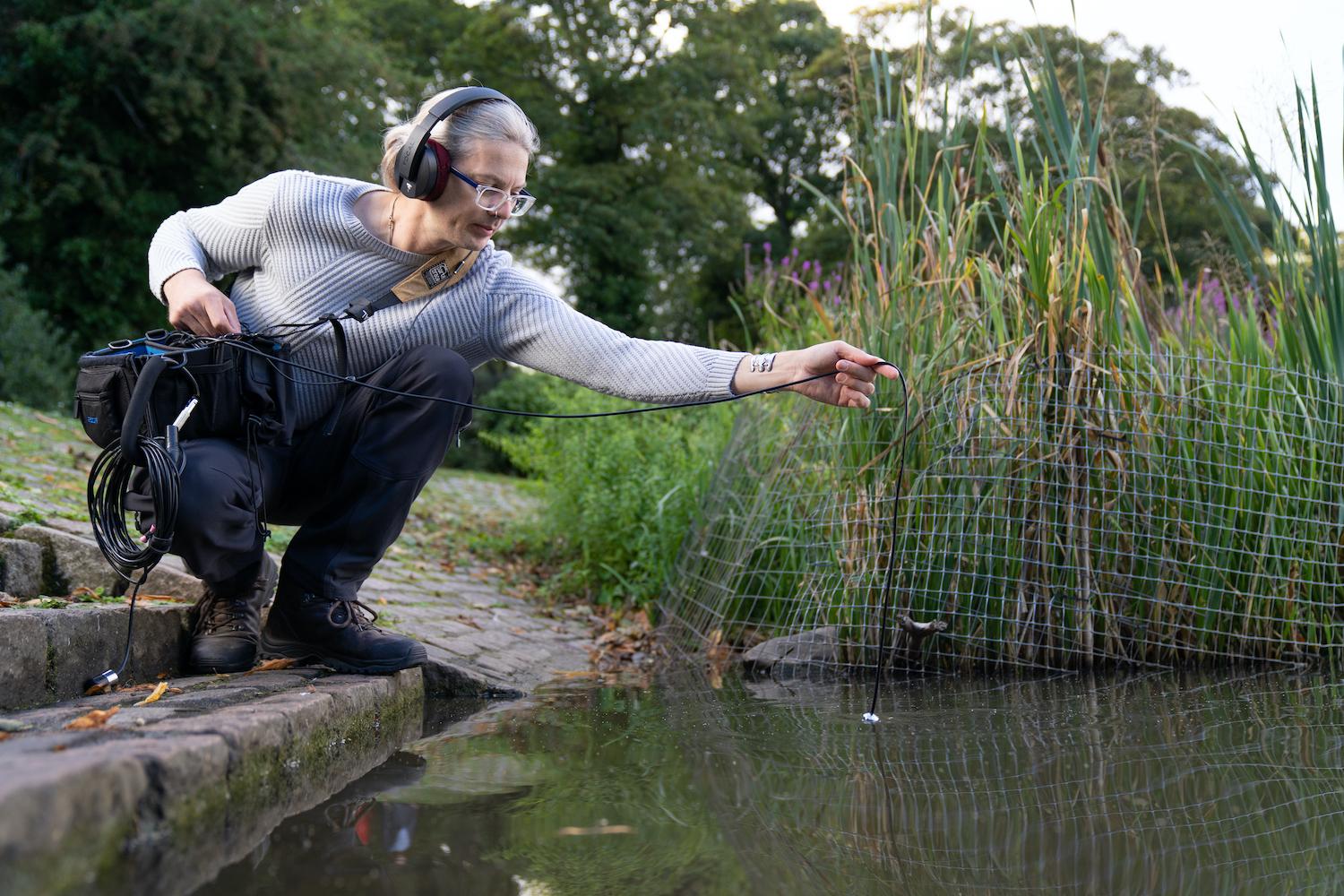 Sonic pond dip