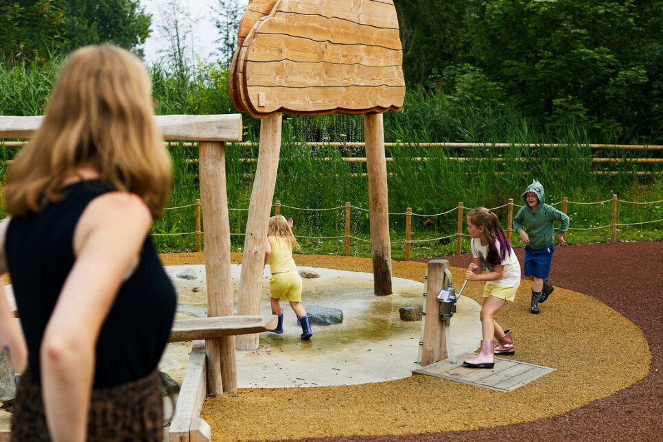 Inclusive SEND Family Day Announced at WWT Martin Mere Wetland Centre