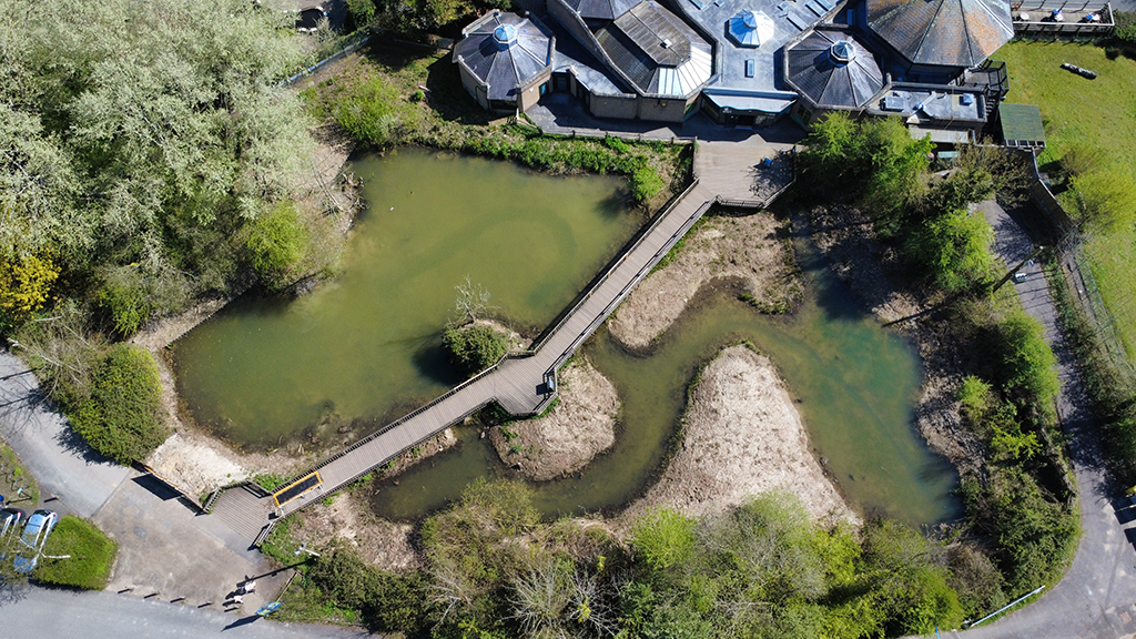 looking down on a large pond from the air.