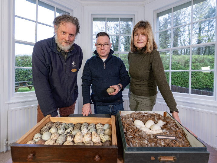 The Natural History Museum accepts donation of largest ornithological collection in decades