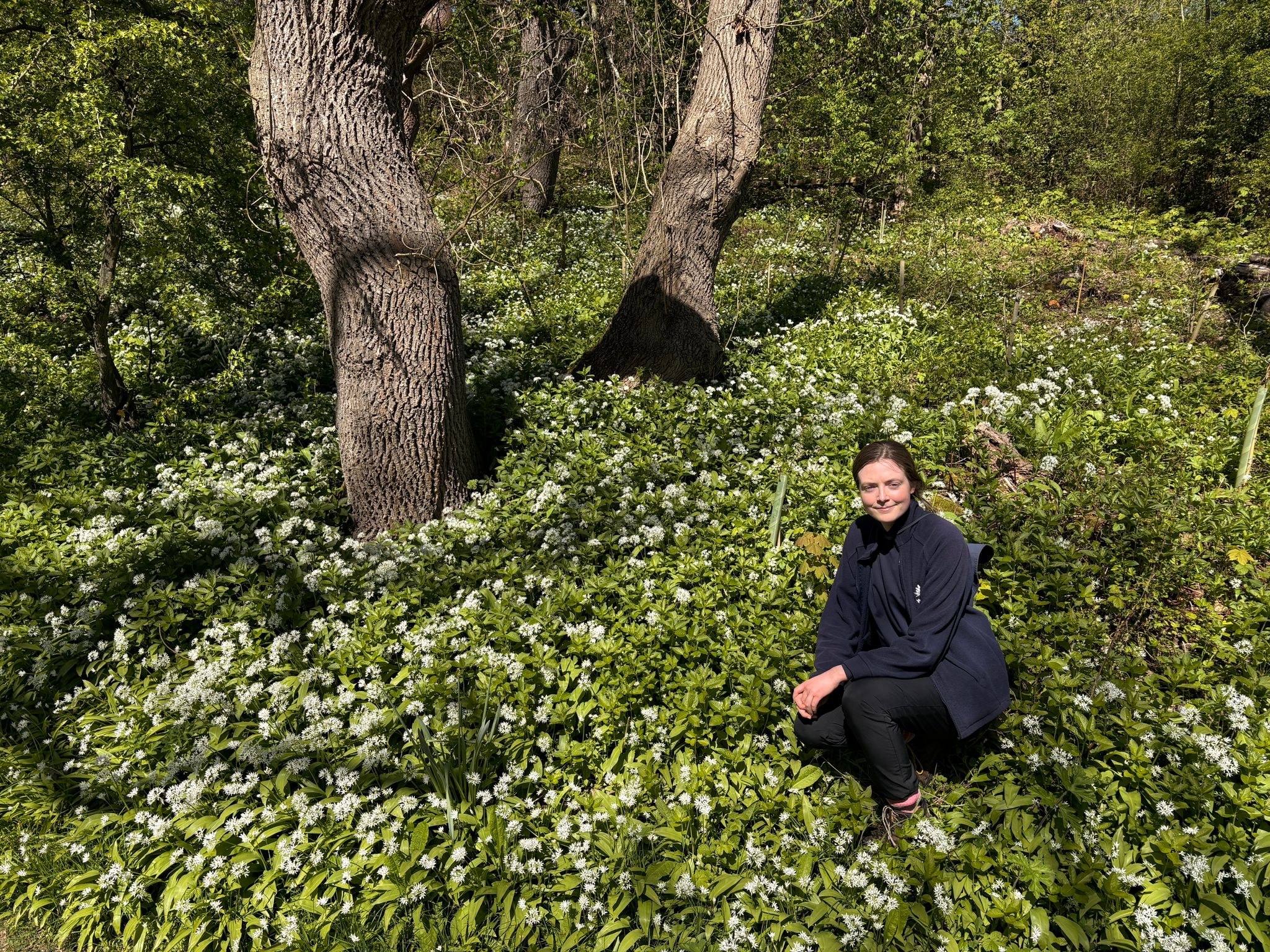 A Woodland Awakening at the Saline Lagoon