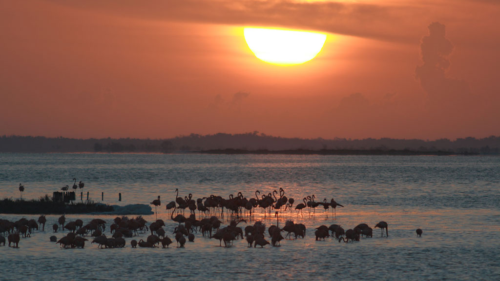Bewitched by wetlands