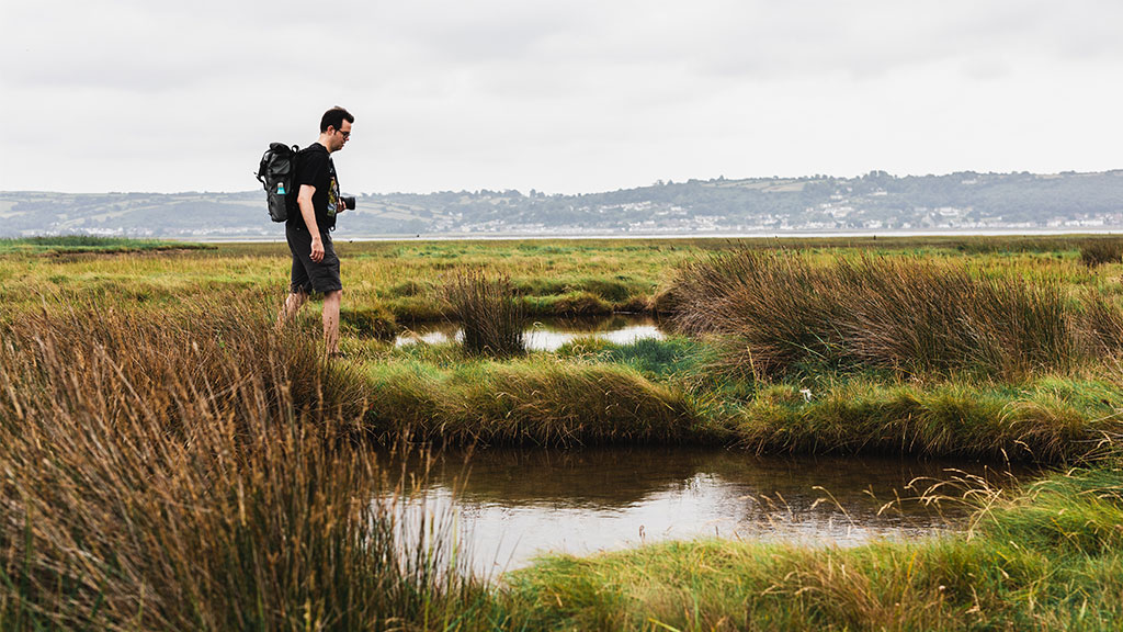 Connecting with wetlands