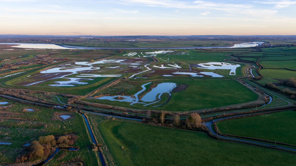 Deep Time Walk at Steart Marshes
