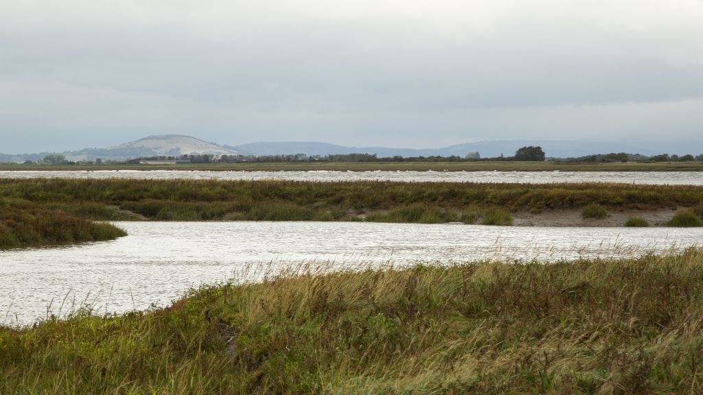 Steart Circular Walk - Celebrating 10 years of the Coast Path in Somerset