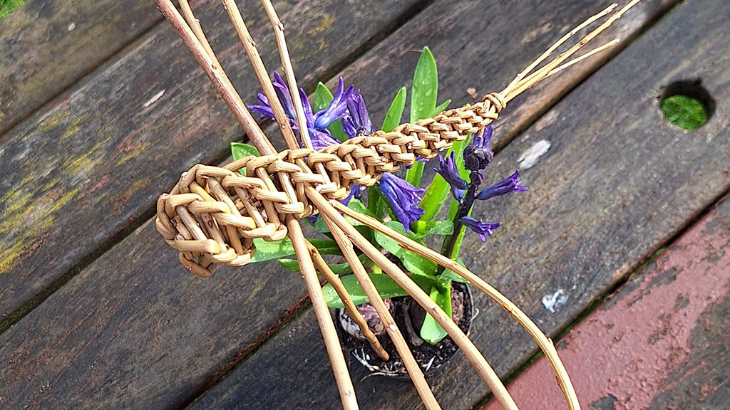 Dragonfly Willow Weaving  for 10-17 yrs