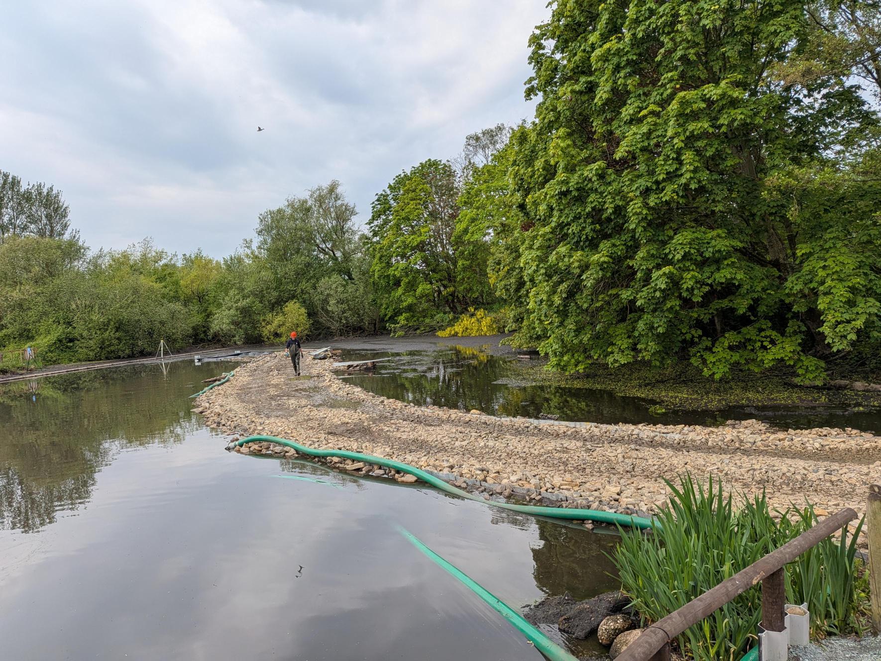 A paved pathway for where the stepping stones will sit, before raising the water levels