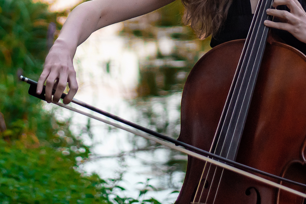 Live Music by The Lily Pond: Awen Duo Violin and Cello