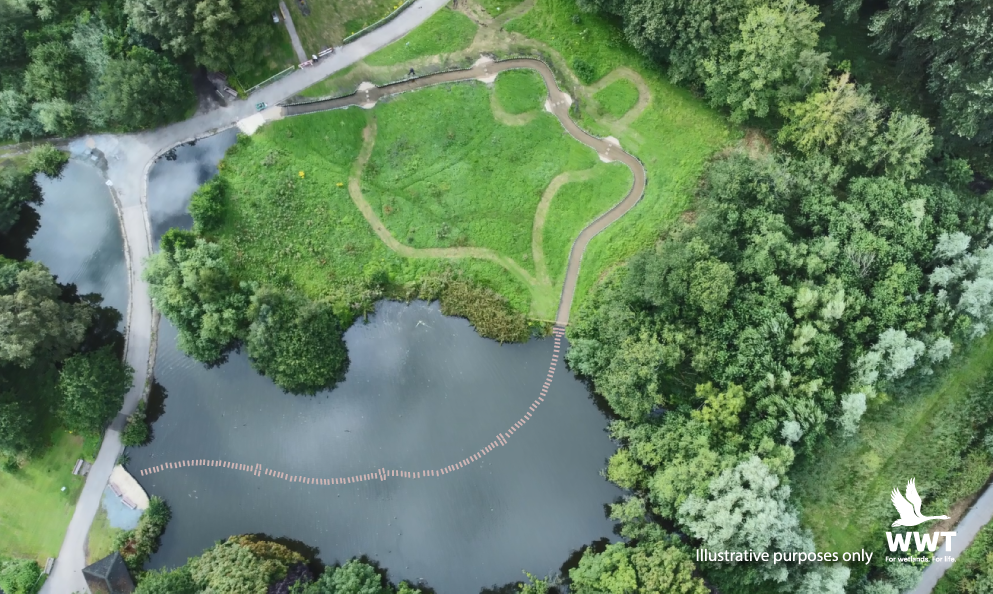 Europe’s Longest Stepping Stones to Open at WWT Martin Mere This Summer