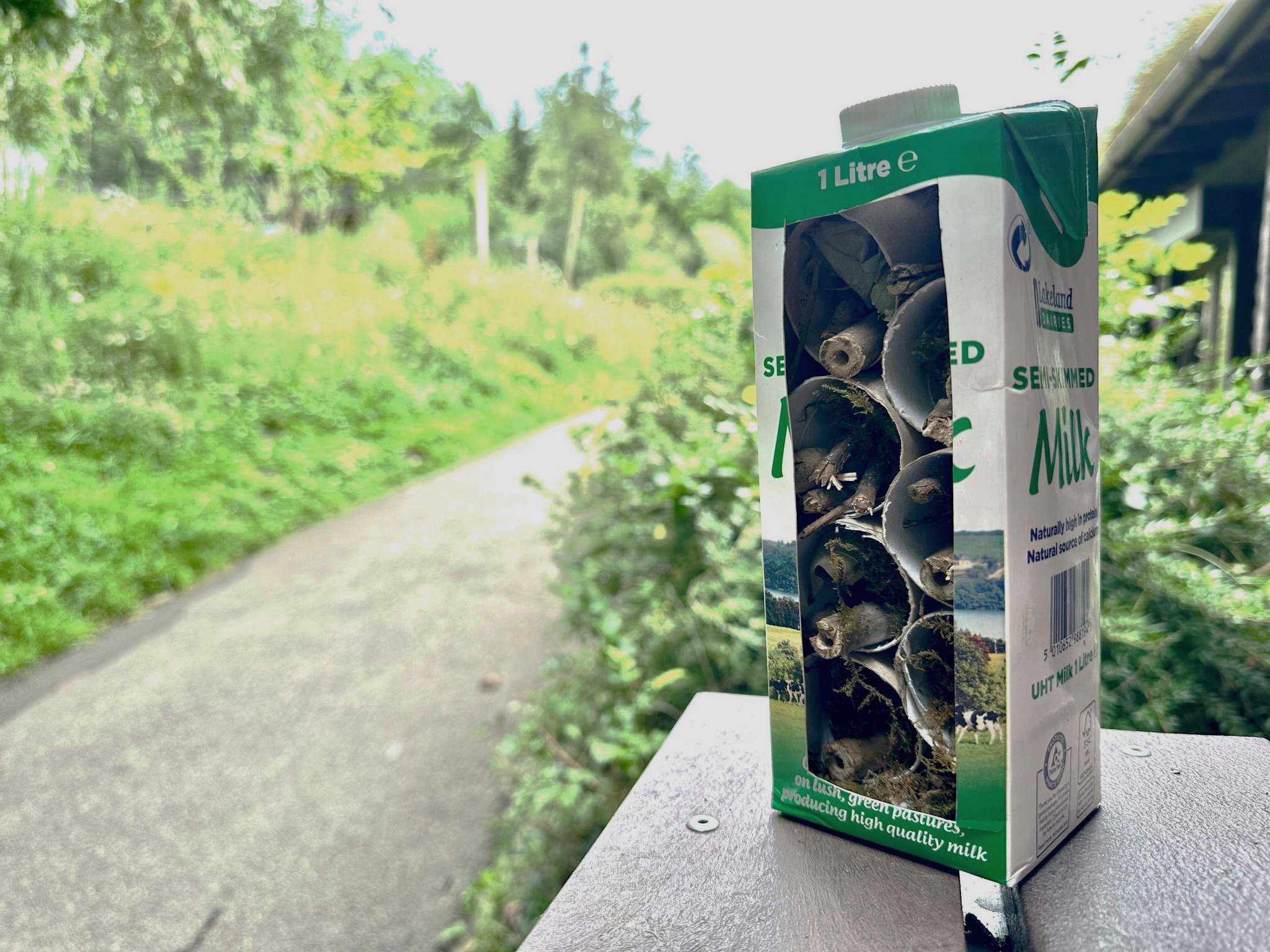 Build a Bug House