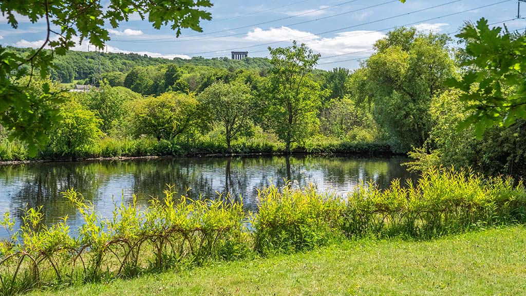 An area of WWT Washington in summer. A willow-fence lined lake with hills and a monument in the background.