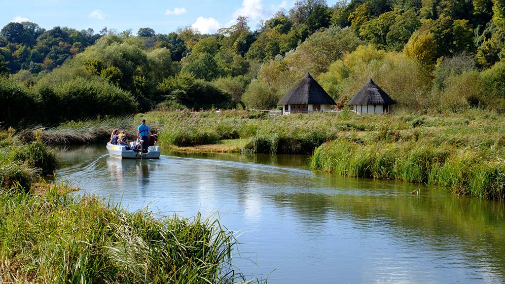 A Wetland Boat Safari at WWT Arundel