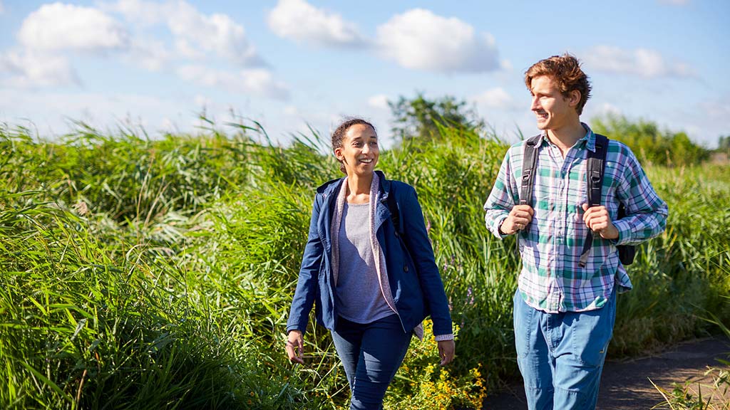 Visitors walking in along a path lined with reeds