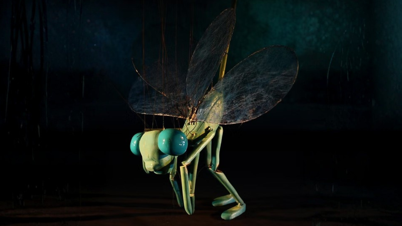 Insect Circus