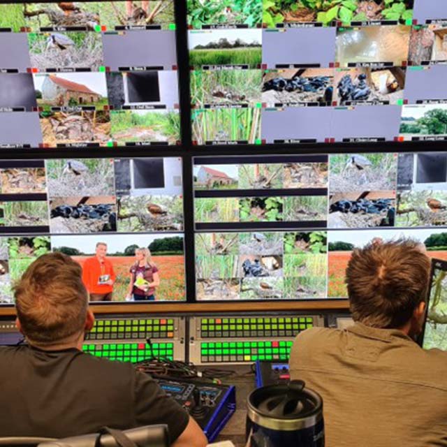 Two people sit in front of multiple screens, monitoring wildlife cameras at Springwatch