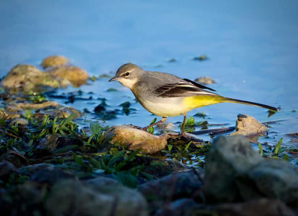 Latest Sightings