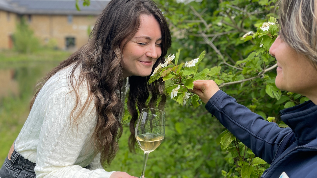 Wine & Walk: An Exclusive Evening of Wine and Wetlands (Various Dates)
