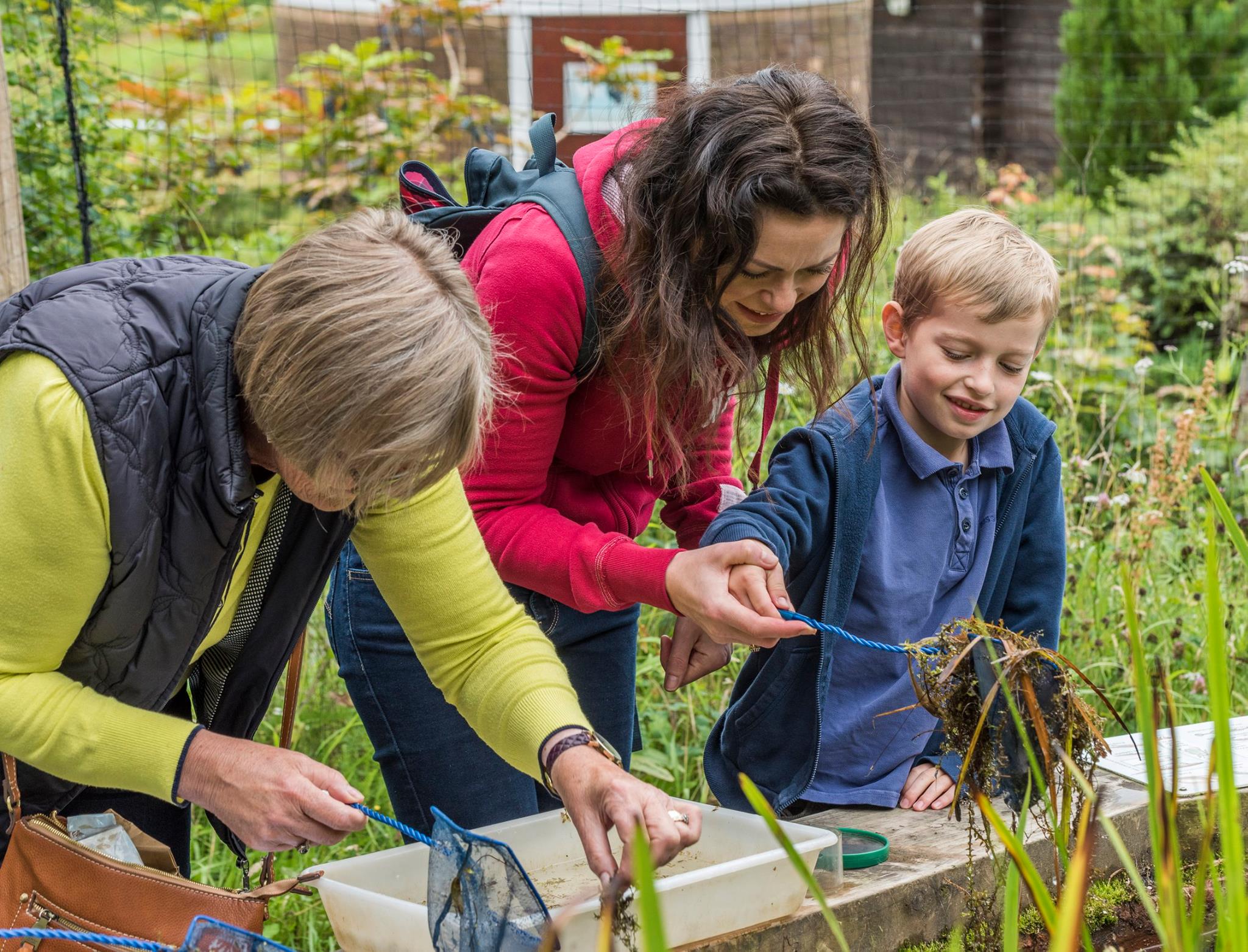 Pond Dipping