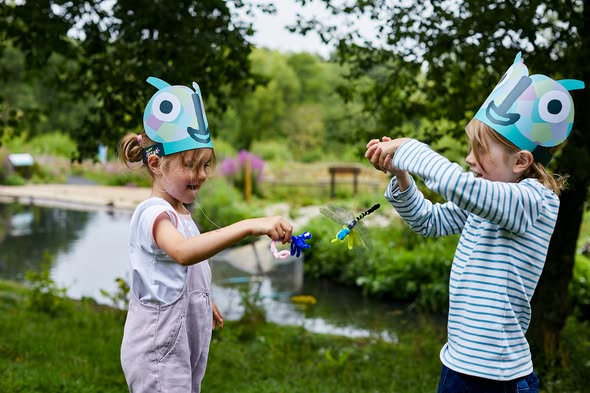 Dragonfly Crafts