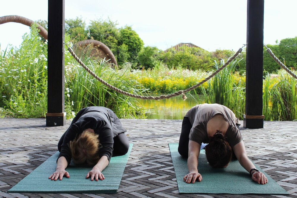 Evening Waterside Yoga