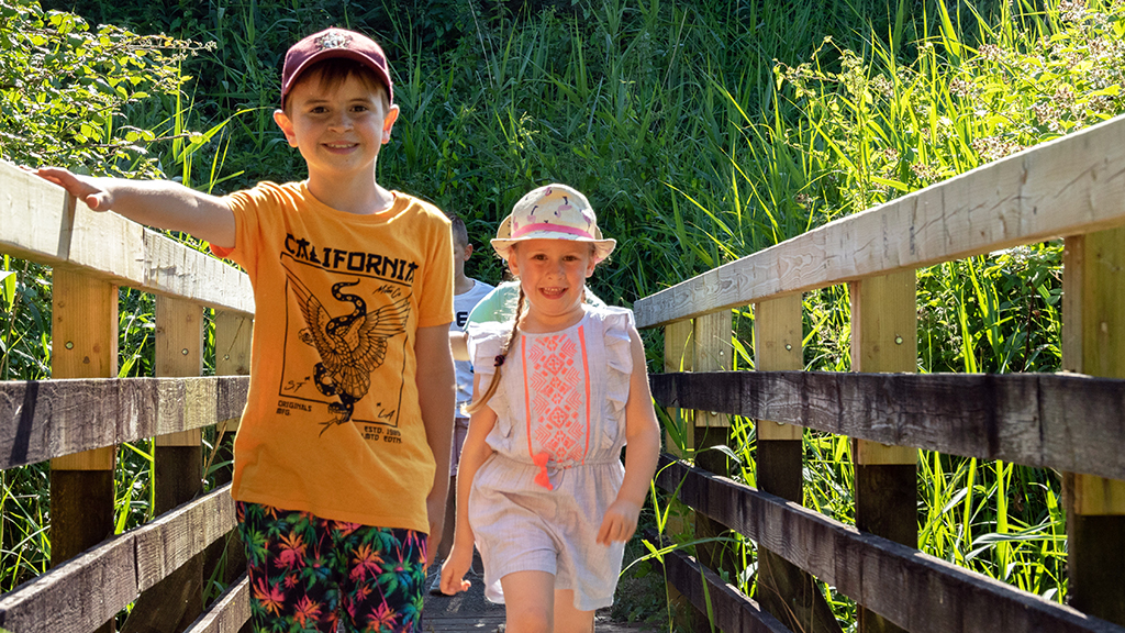 Family Dragonfly Walk Aug 12